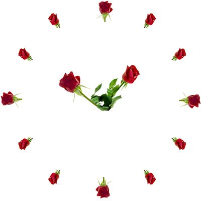 Clock Rose