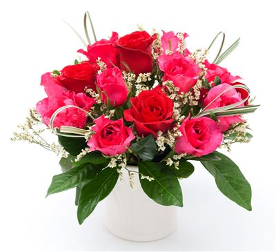 Roses in a vase