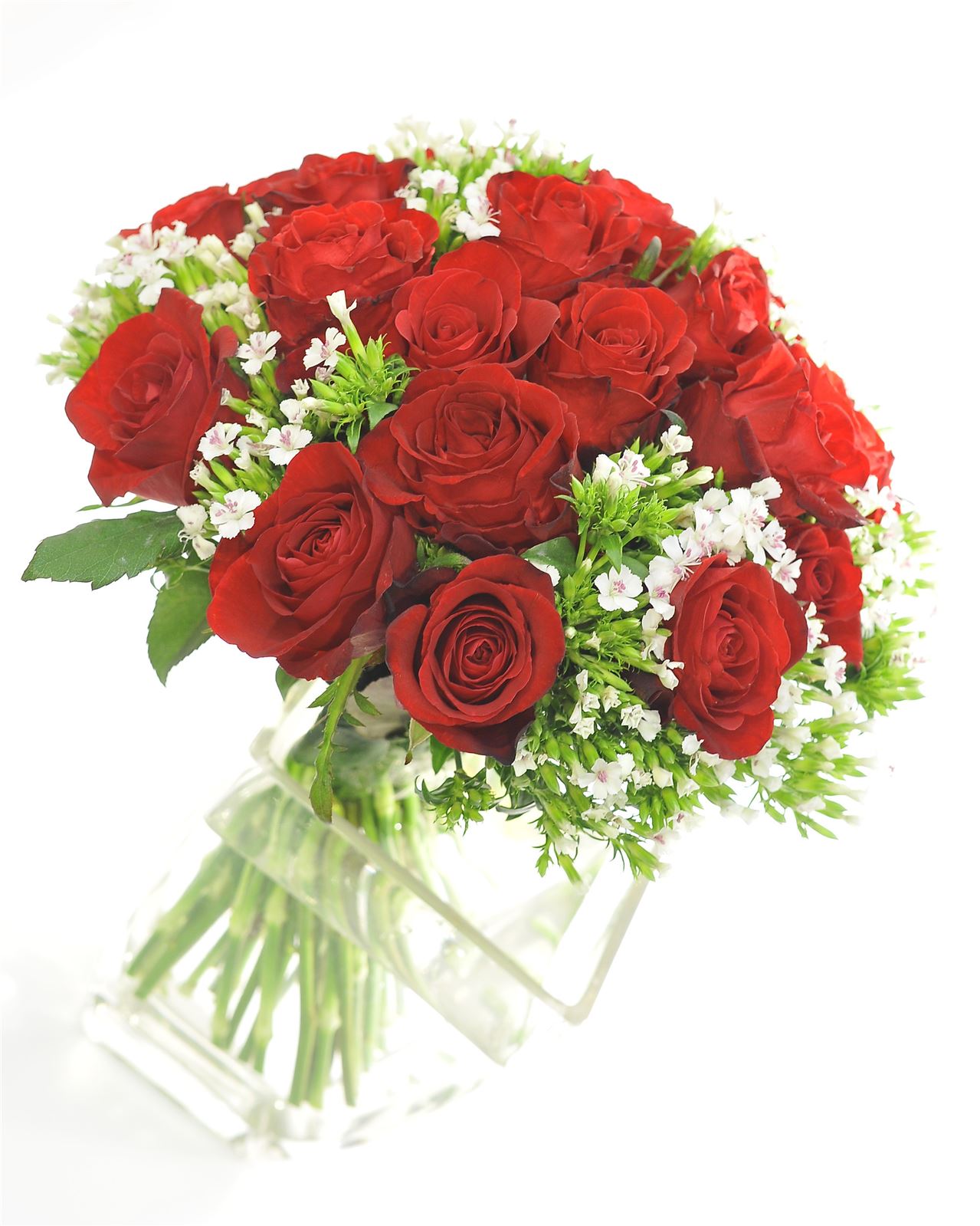 In The Name of The Rose